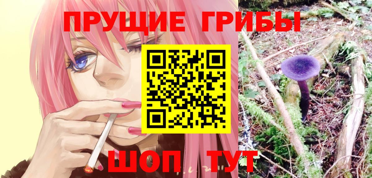 Донской  Галлюциногенные грибы GOLDEN TEACHER  Вход с VPN  Галлюциногенные грибы мицелий 