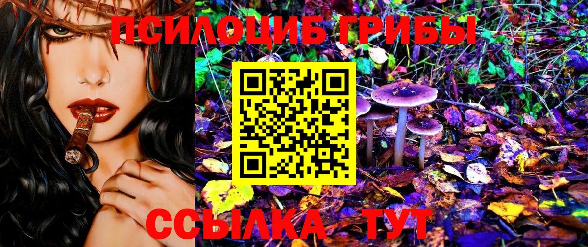 Галлюциногенные грибы MAGIC MUSHROOMS Донской
